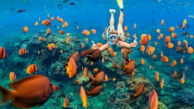 Best Things to Do in St Vincent & The Grenadines