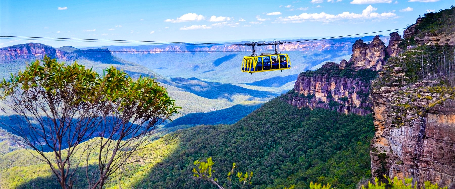 private tour to blue mountains