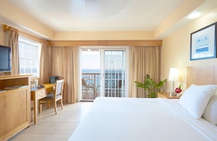 Fort Young Hotel & Dive Resort image 2