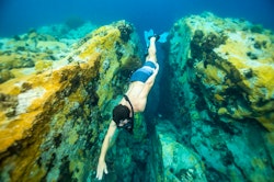Snorkelling, Fort Young, Dominica