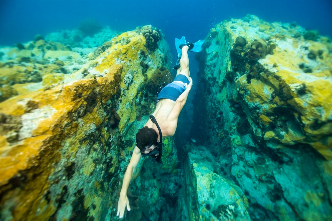 Snorkelling, Fort Young, Dominica