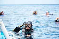 Scuba Diving, Fort Young, Dominica