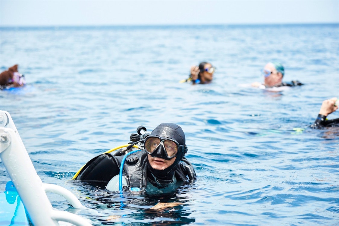 Scuba Diving, Fort Young, Dominica