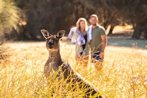 Discover South Australia's Wine, Wildlife & Outback image 1