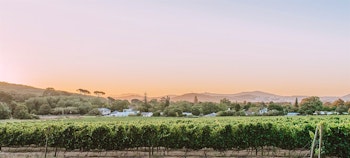 Cape Town & The Cape Winelands image 1