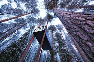 Treehotel image 1
