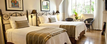 Grano de Oro image 2