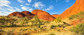 The Ghan Rail Journey