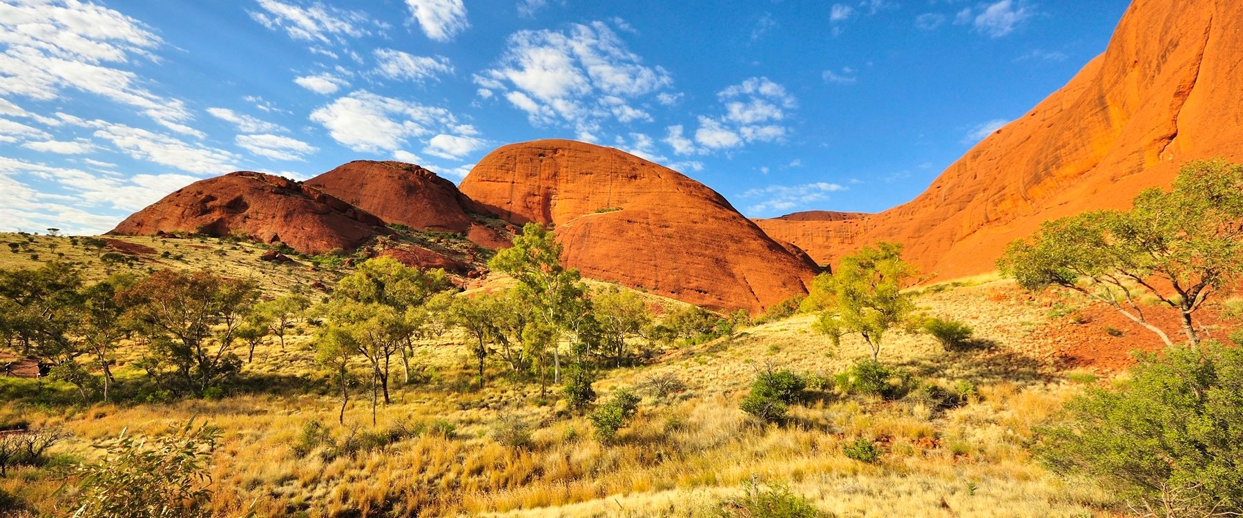 the ghan rail journey