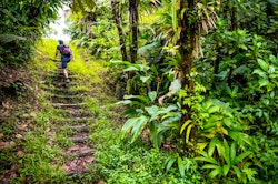 Hiking, Fort Young, Dominica
