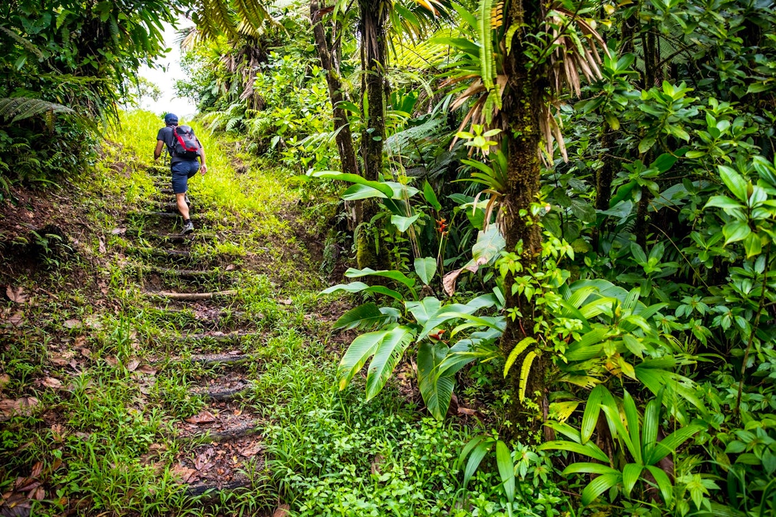 Hiking, Fort Young, Dominica