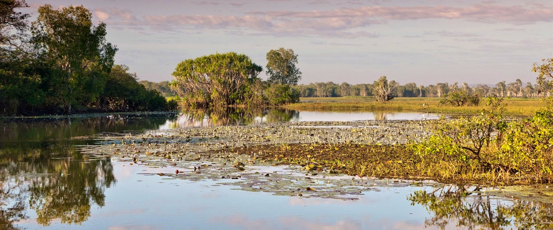 the ghan arrives in darwin