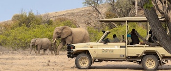 Mowani Mountain Camp image 3