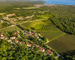 Bird's-Eye View of Meneghetti Estate