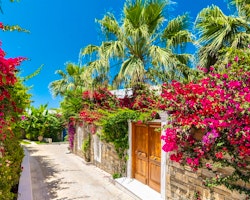 Flower Gardens, Porto Zante, Zakynthos, Greece