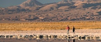 Excursion, Tierra Atacama
