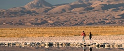 Excursion, Tierra Atacama