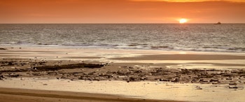 Discover Western Australia's Coastal Drive image 2