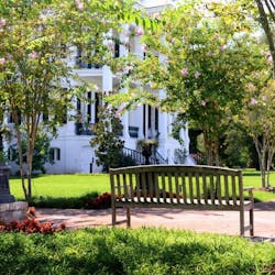 Garden View at Nottoway Plantation, New Orleans
