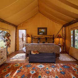 Moonlight Camp