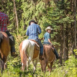 forest rides at three bars guest ranch