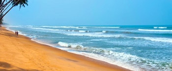 Reef Sri Lanka image 3