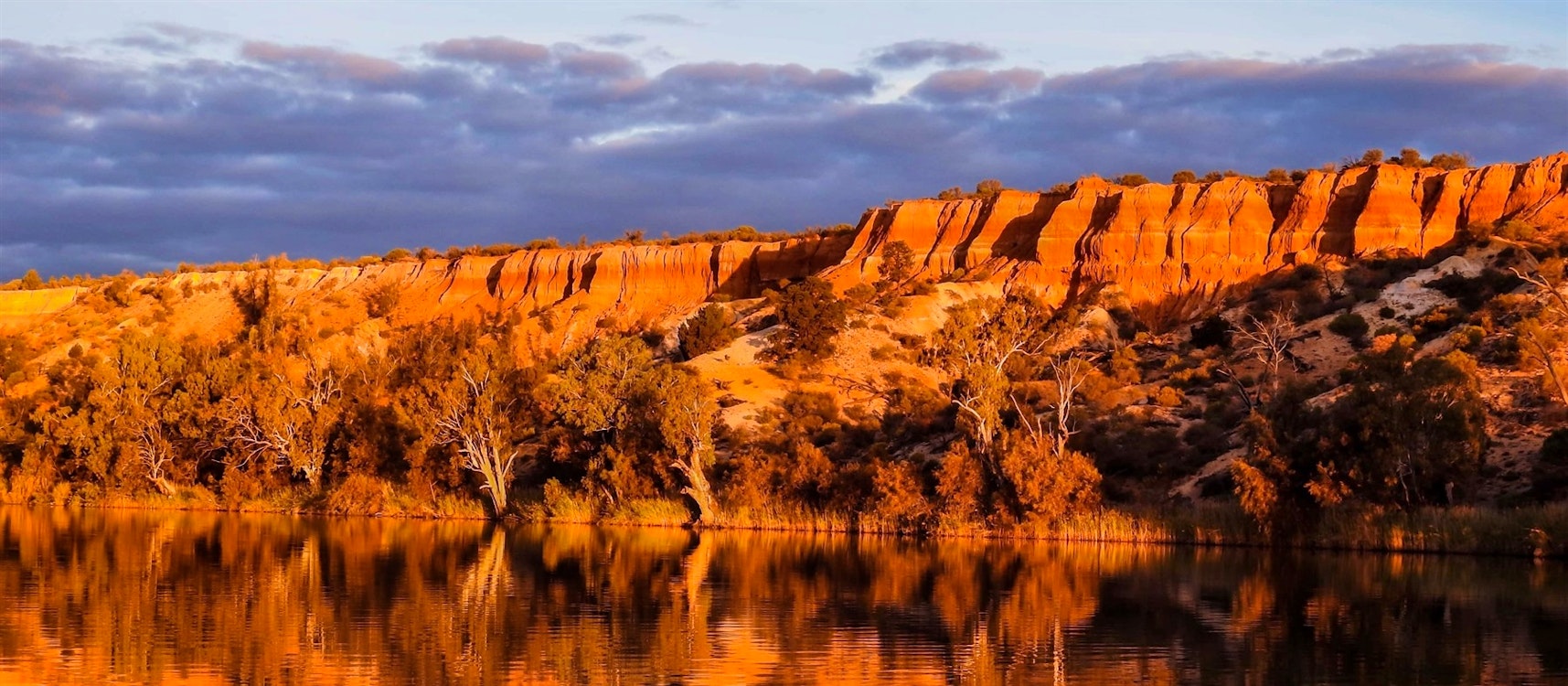 Murray Cliffs