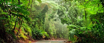 Tropical North Queensland