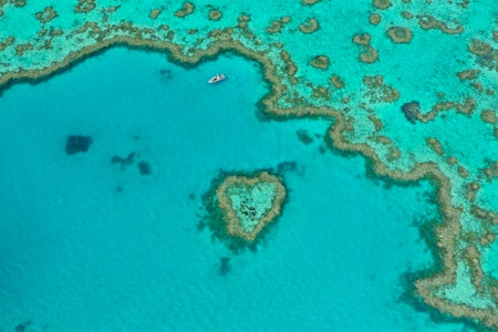 Heart Island, Great Barrier Reef