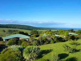 The Boomerangs at Johanna image 3