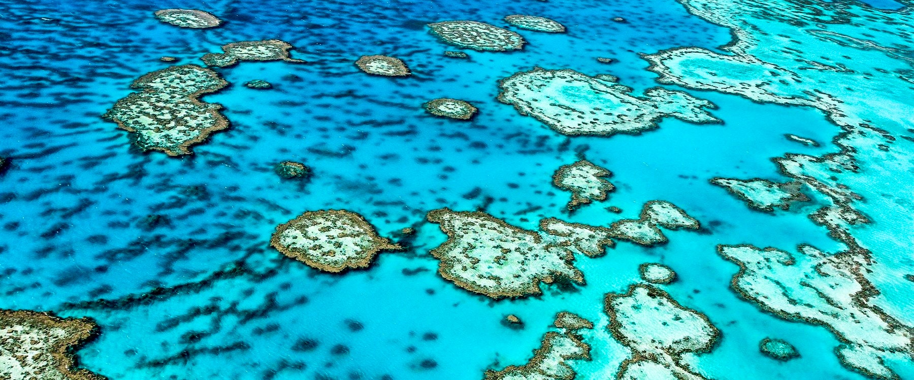 helicopter flight and landing at great barrier reef