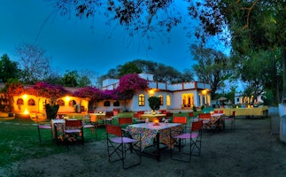 Chambal Safari Lodge image 2