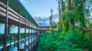 Te Waonui Forest Retreat image 1