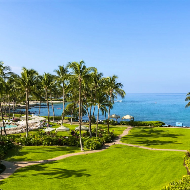 deluxe ocean view room