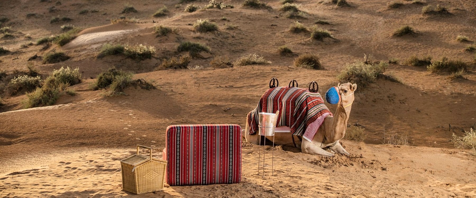 Camel Riding Excursion at Al Wadi Desert, Ras Al Khaimah