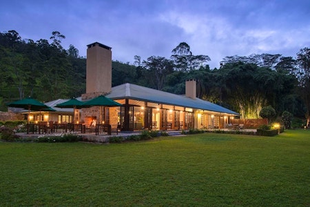 Ceylon Tea Trails