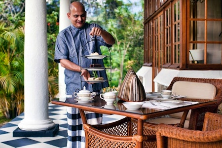 Afternoon Tea