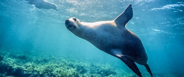 Cervantes to Geraldton (140 miles)