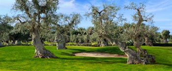 Masseria Torre Maizza image 3