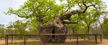 Windjana Gorge and Tunnel Creek 4WD Adventure