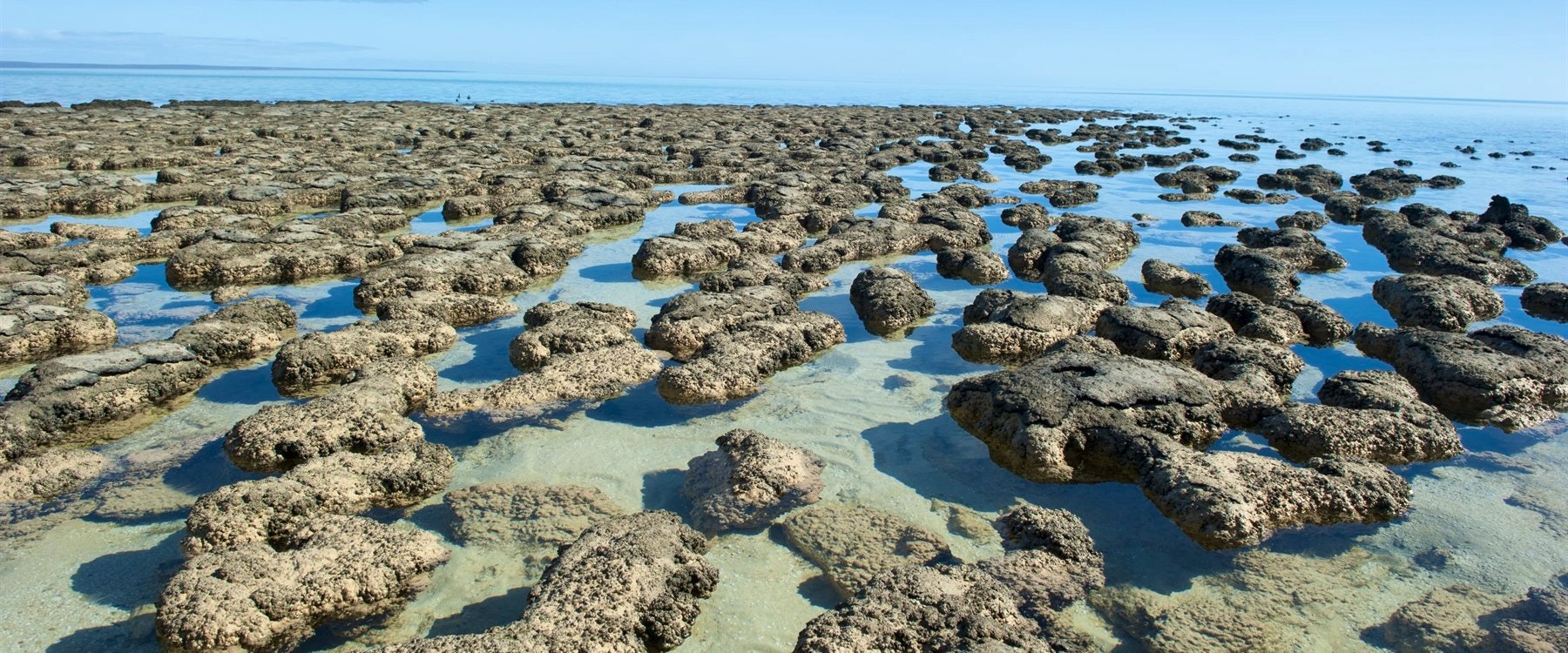 kalbarri to monkey mia 244 miles