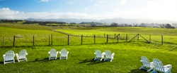 Beautiful Views at Carneros Resort and Spa, Napa Valley