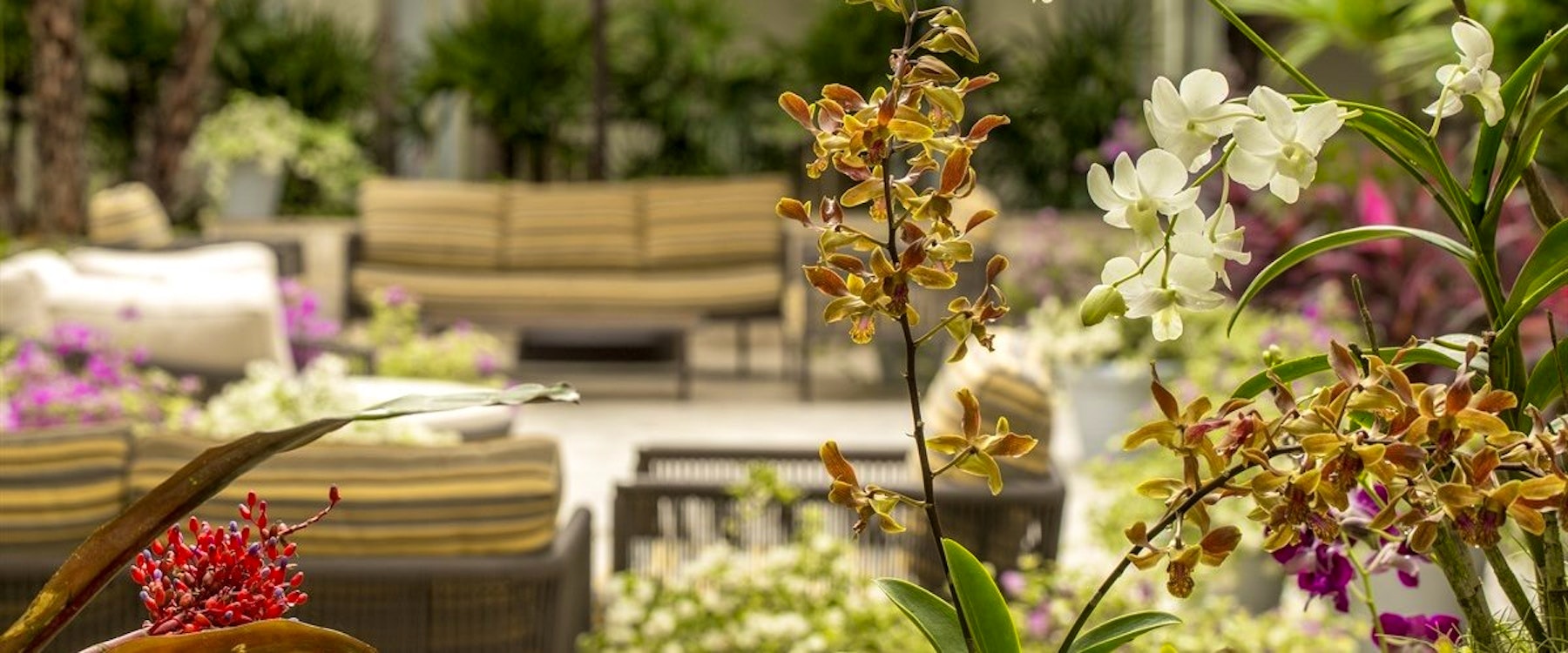 beautiful exterior, Hotel del Parque