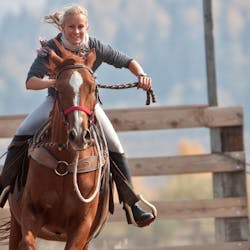 Rodeo At Goosewing Ranch
