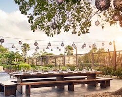 Dining at Rosewood Mayakoba, Riviera Maya, Mexico