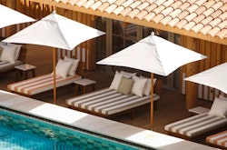 Lily of the Valley, French Riviera, France