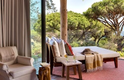 Lily of the Valley, French Riviera, France