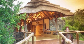 Madikwe Hills Private Game Lodge image 3