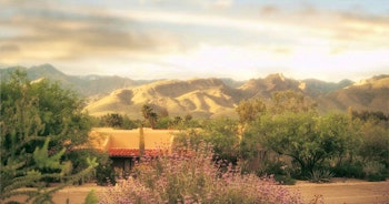 Canyon Ranch image 3