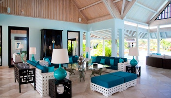 Lazy Lizard  image 3